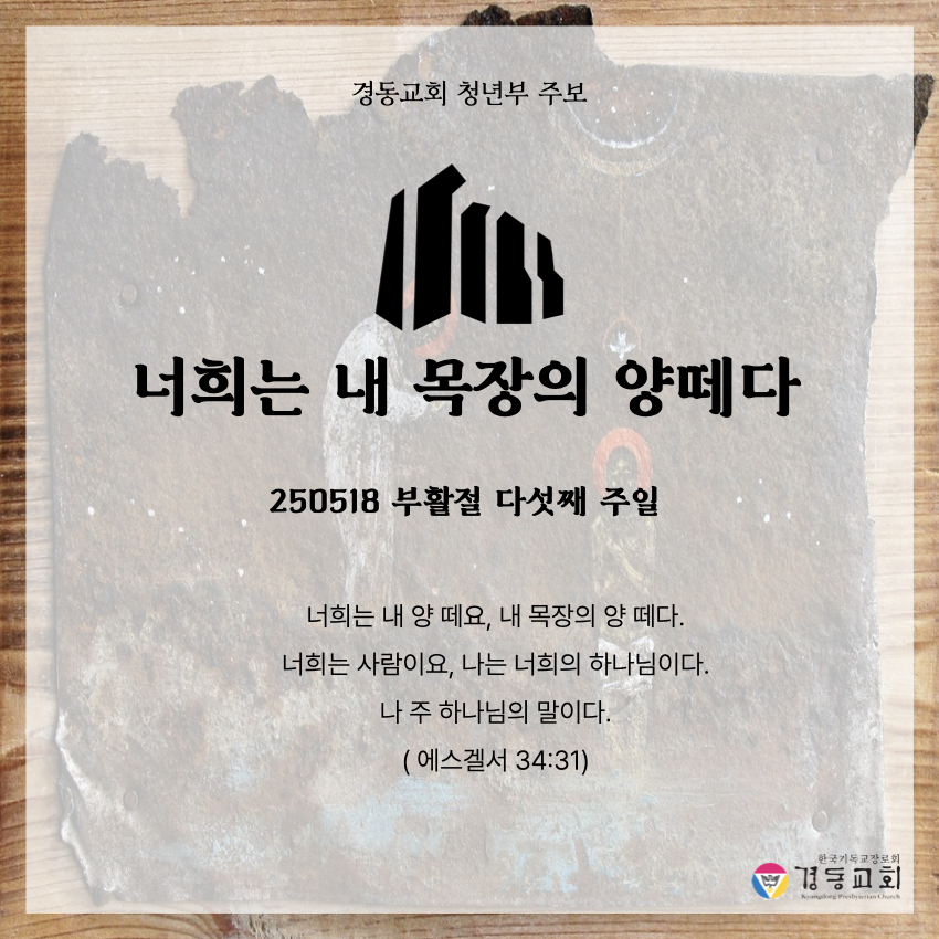 KakaoTalk_20250517_064237928.jpg