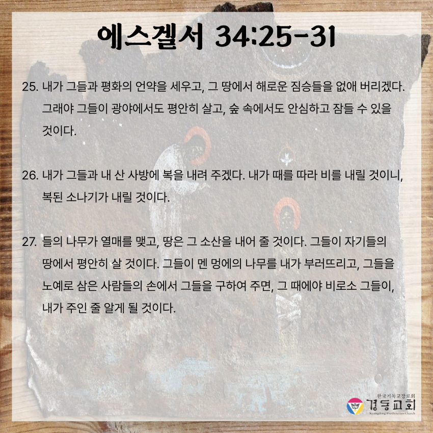 KakaoTalk_20250517_064237928_04.jpg