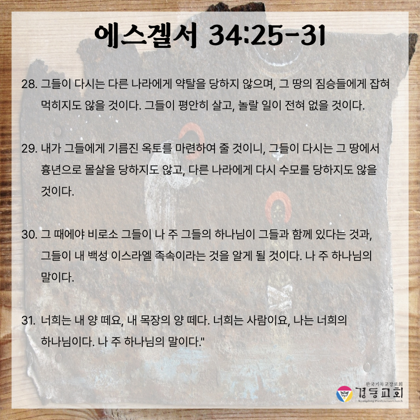 KakaoTalk_20250517_064237928_05.jpg