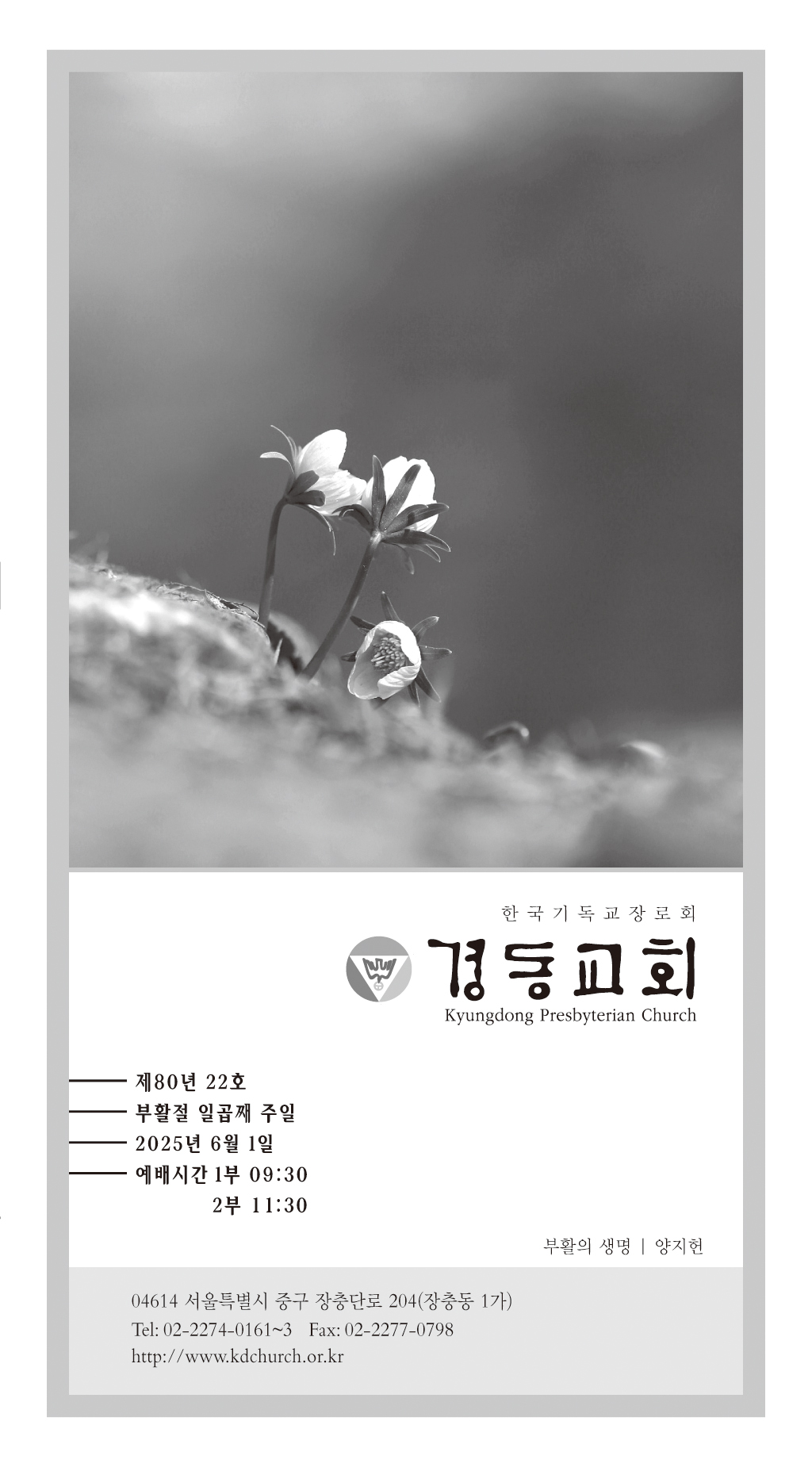 경동교회 주보