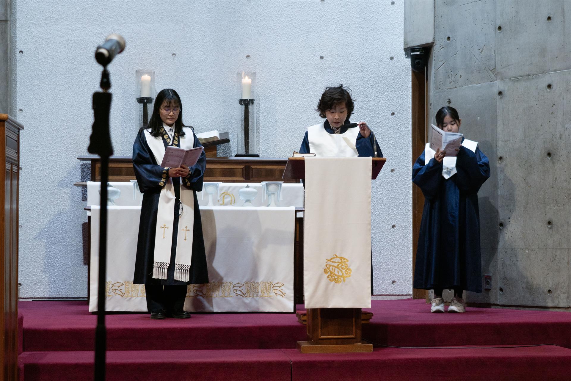 DSC06870.jpg
