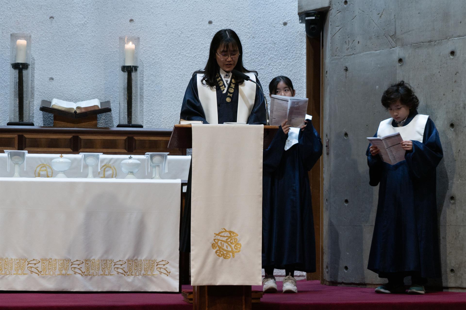 DSC06874.jpg