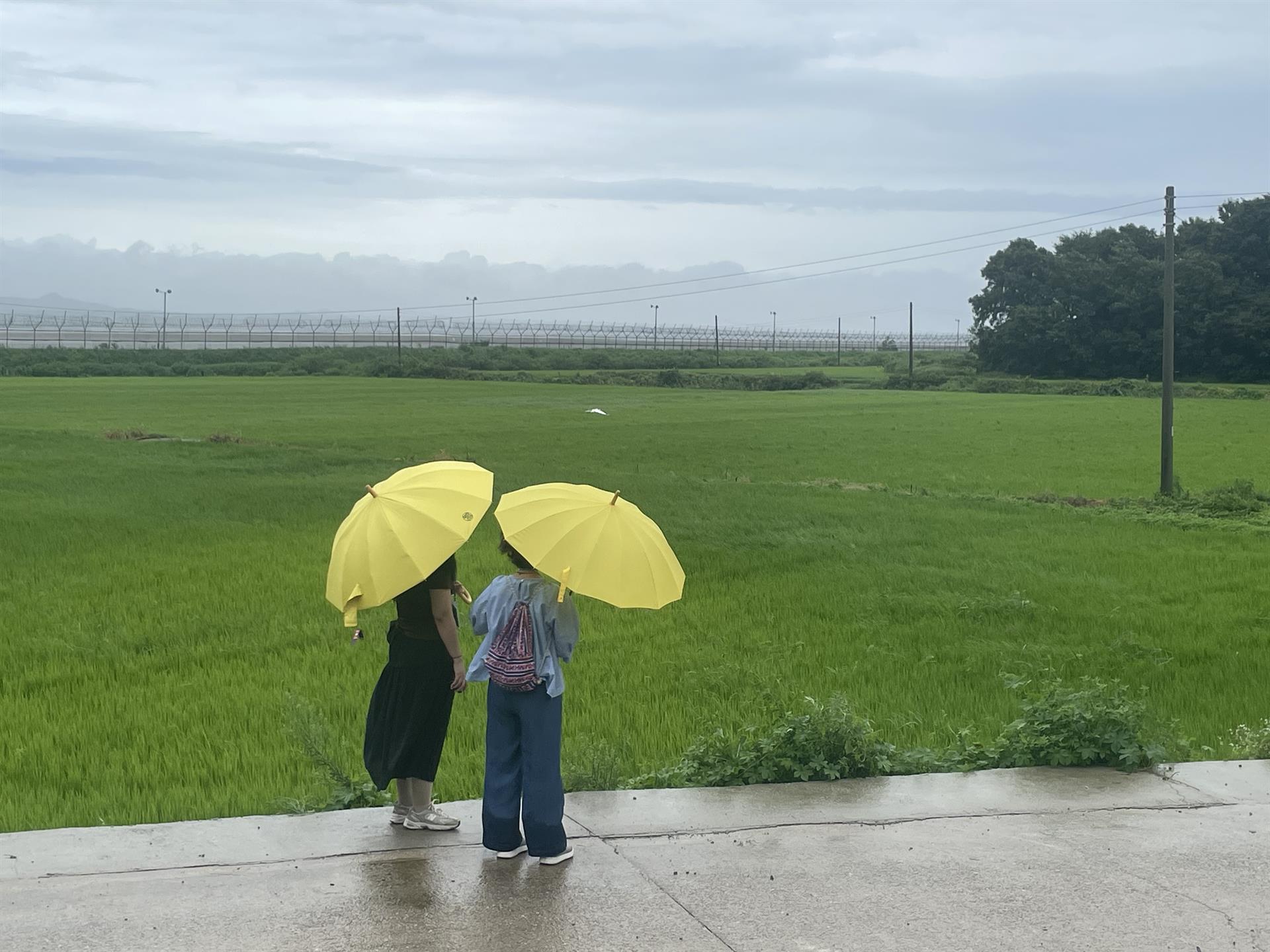 KakaoTalk_20250815_111306717_09.jpg