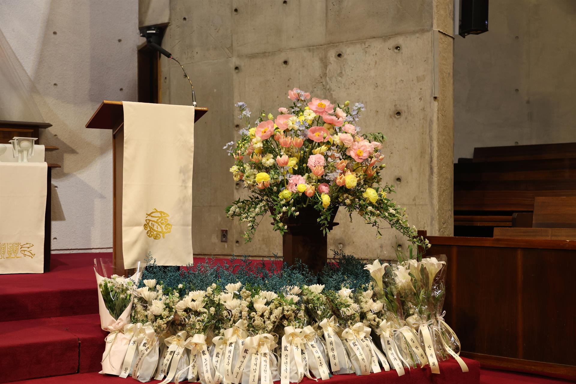 0N8A9123.JPG
